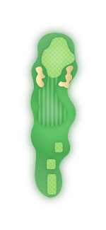 Crooked Oaks Golf Course Hole 5 Overview