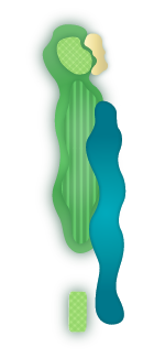 Ocean Winds Golf Course Hole 6 Overview