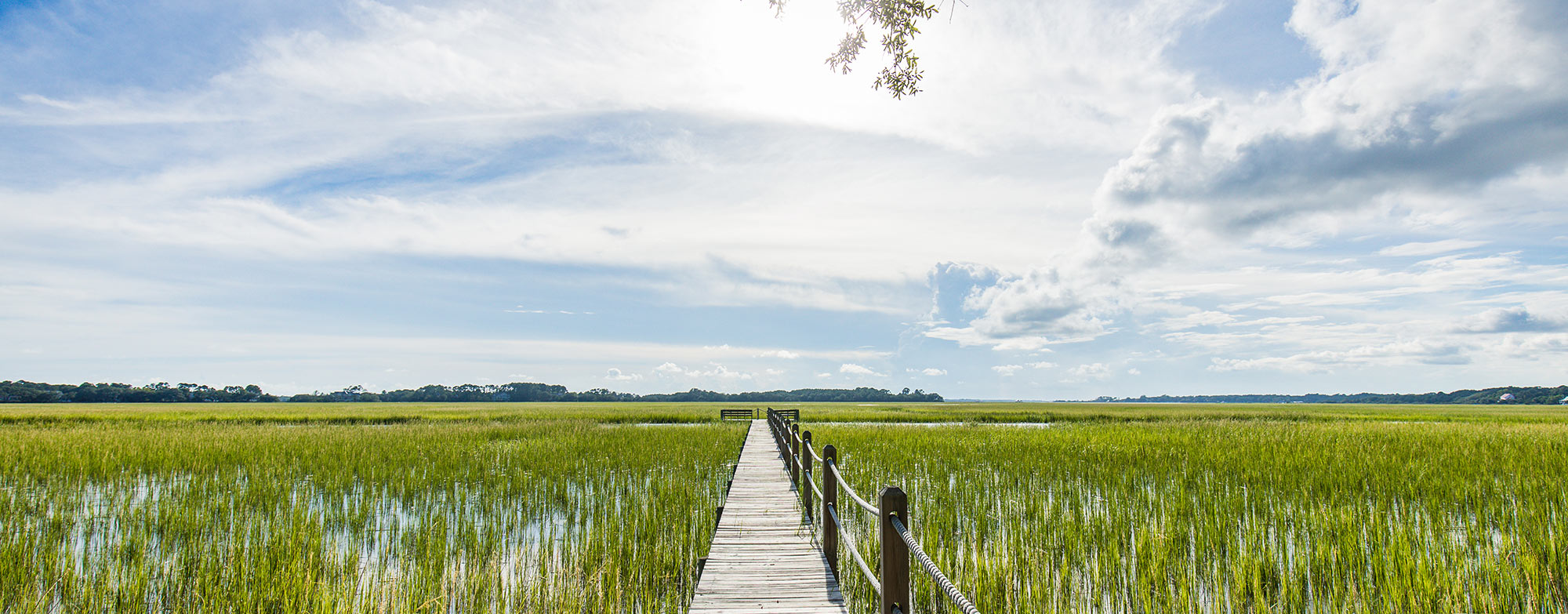Dock over marsh