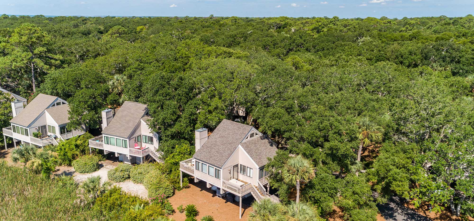 Treeloft aerial view