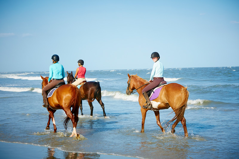 three horses and riders from the seabrook island equestrian center on the beach
