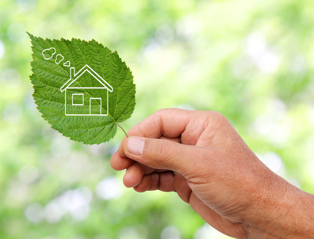 hand holding a leaf with a house on it to represent energy efficiency