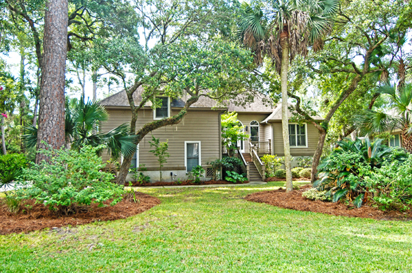 2465-cat-tail_eblast-3