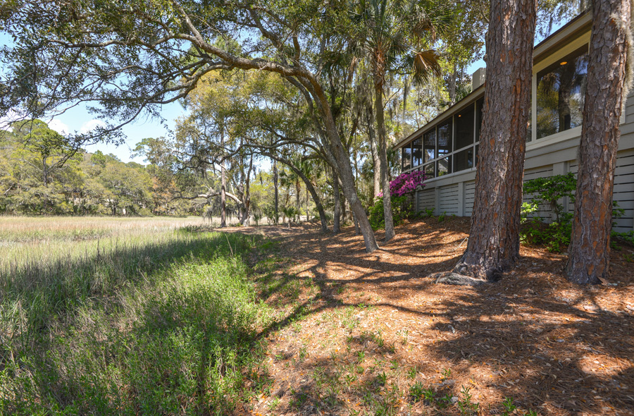 3143 SIR 4_back exterior