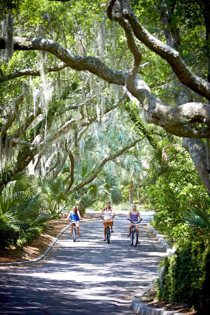 green live oak trees with bikers