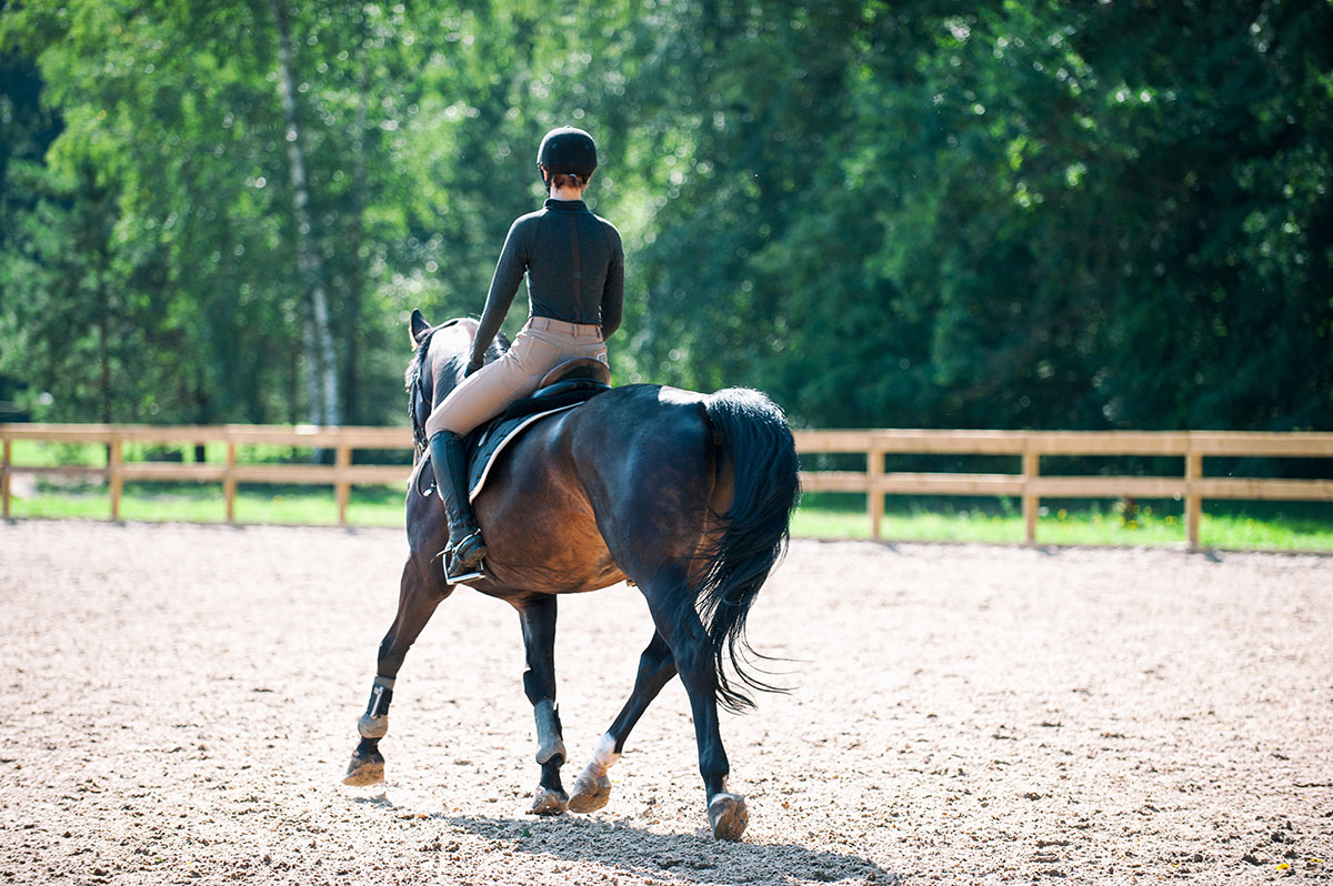 young equestrian girl riding a horse in a ring