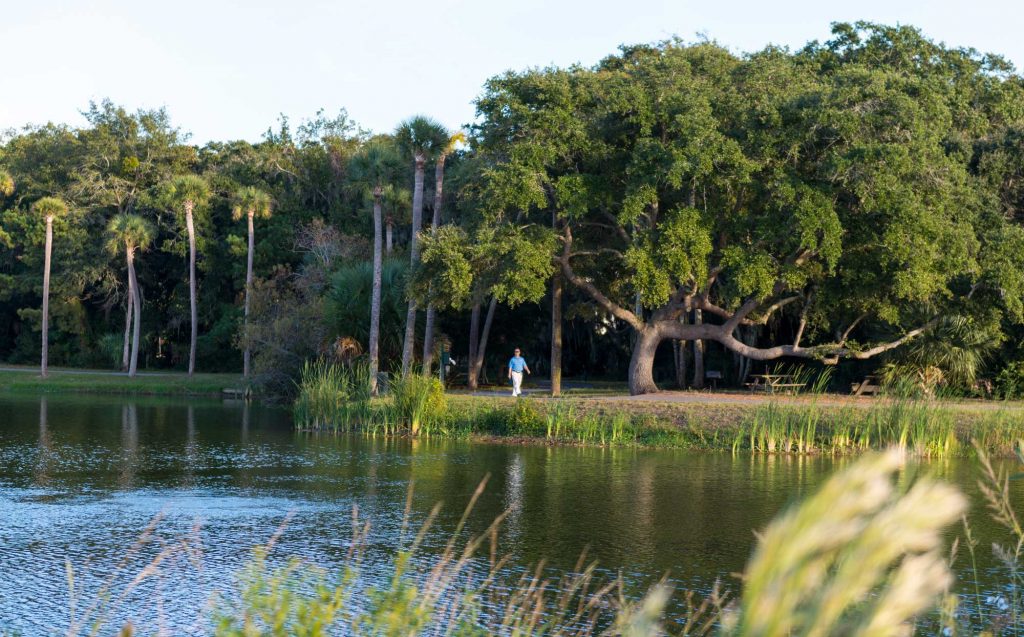 spring setting on seabrook