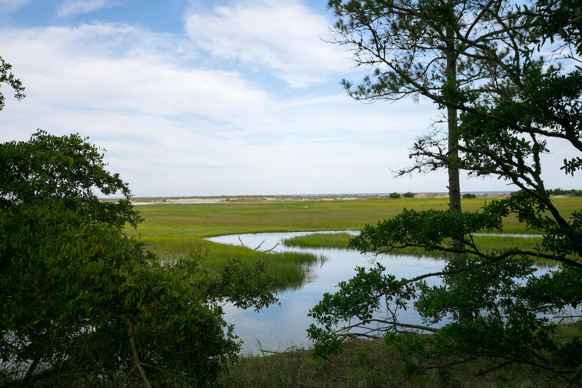 tidal-creek-charleston