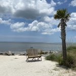 bench on seabrook island sc beach