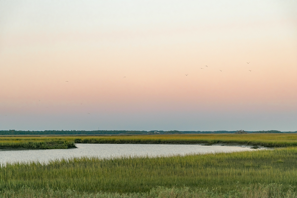 charleston real estate