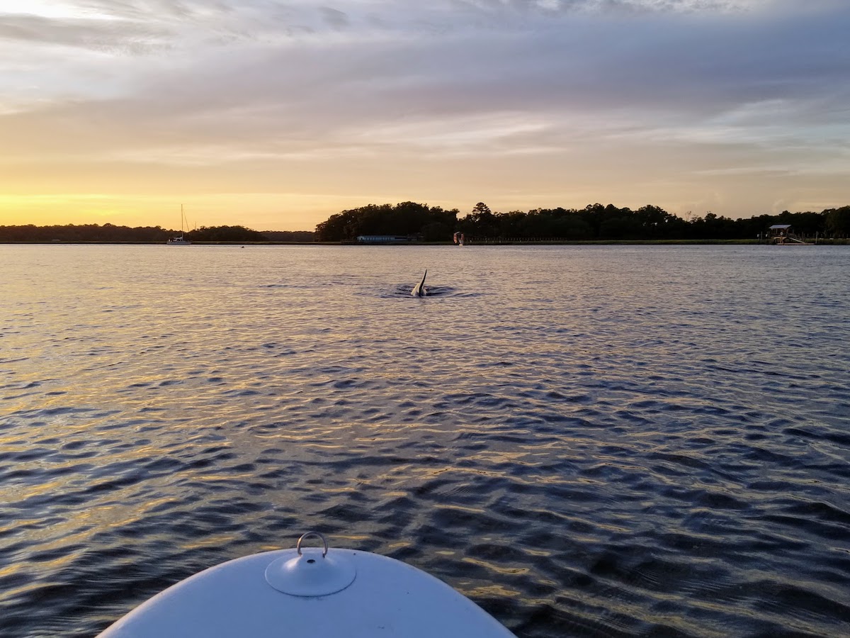 paddleboarding-seabrook