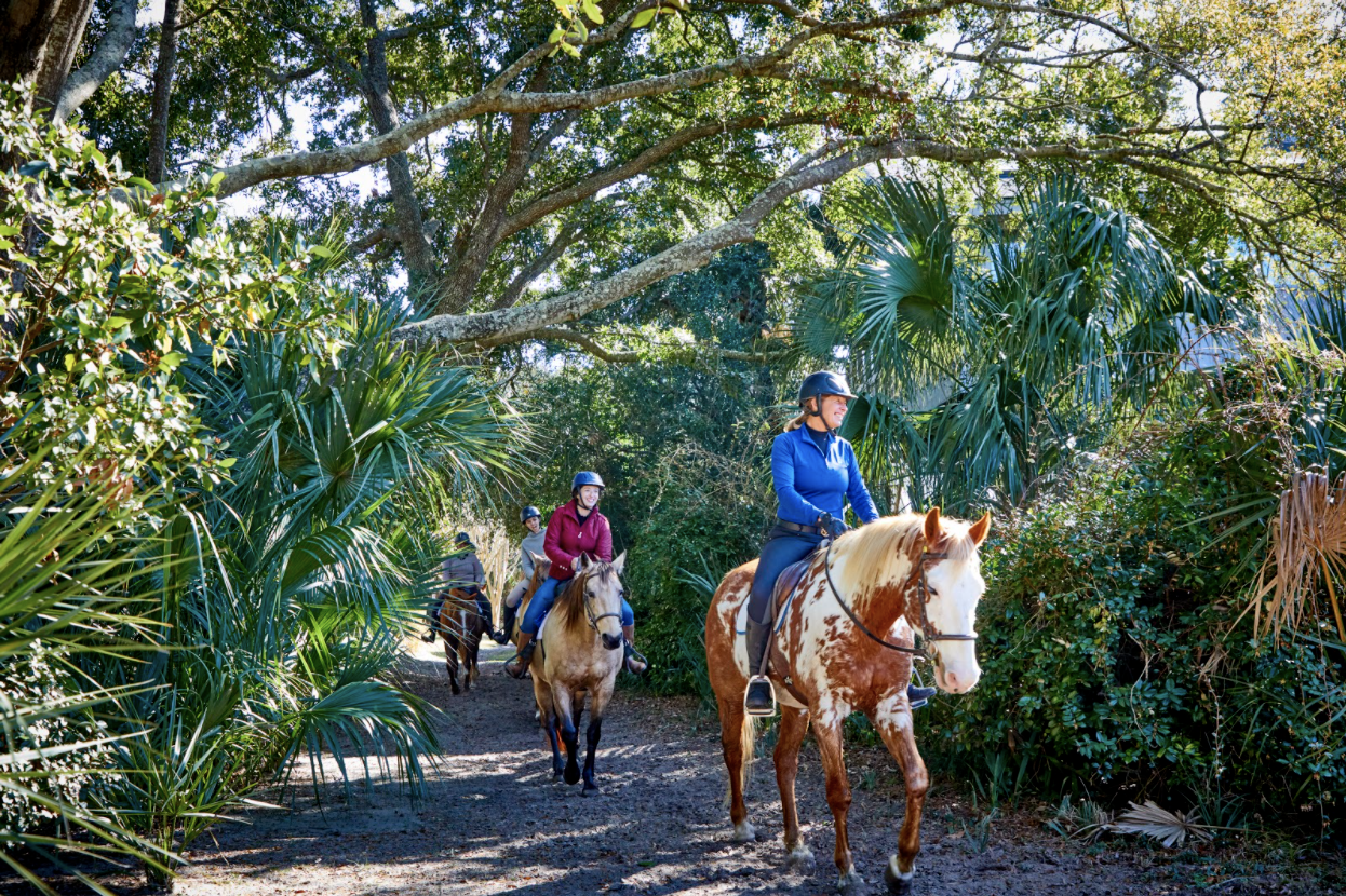Horse Back Riding At Seabrook Island